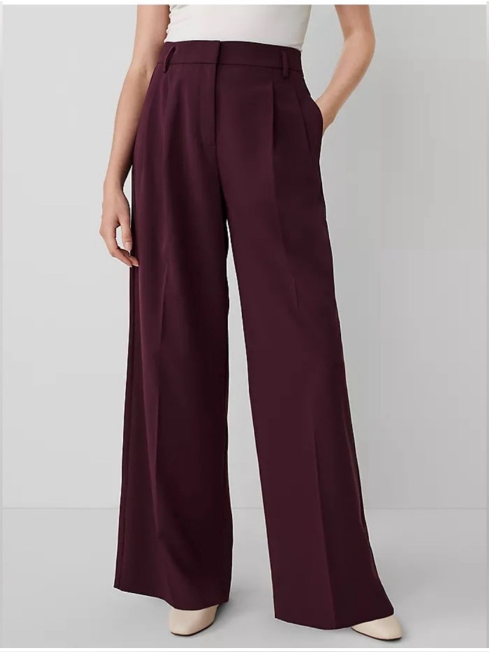NWT Ann Taylor wide leg pants trousers pleated 8